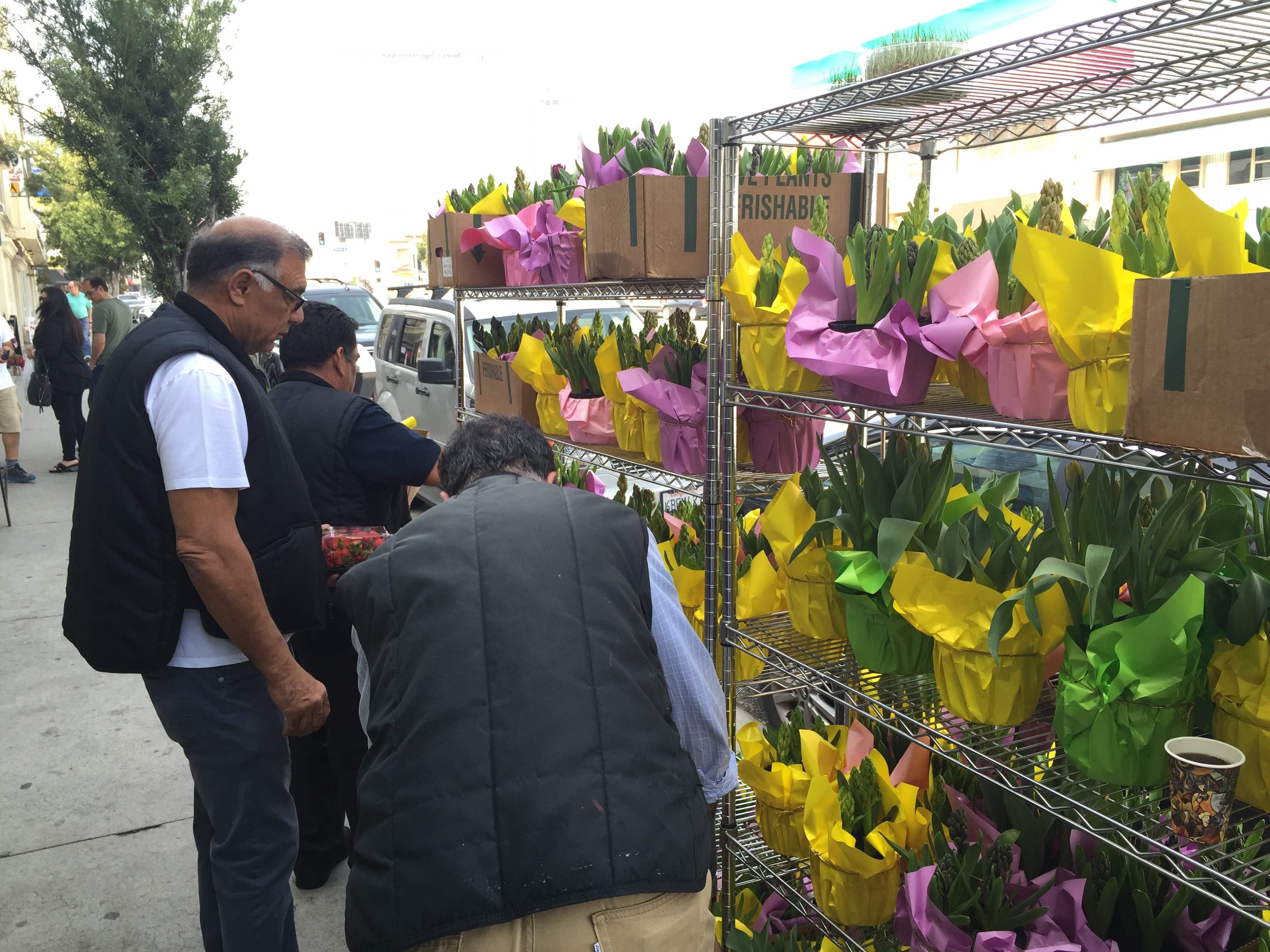 Farid Khanlou selling plants in front of Jordan Market on Westwood Boulevard