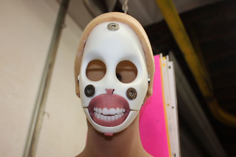 The facial skeleton of a robot sex doll - photo by author, San Diego, CA