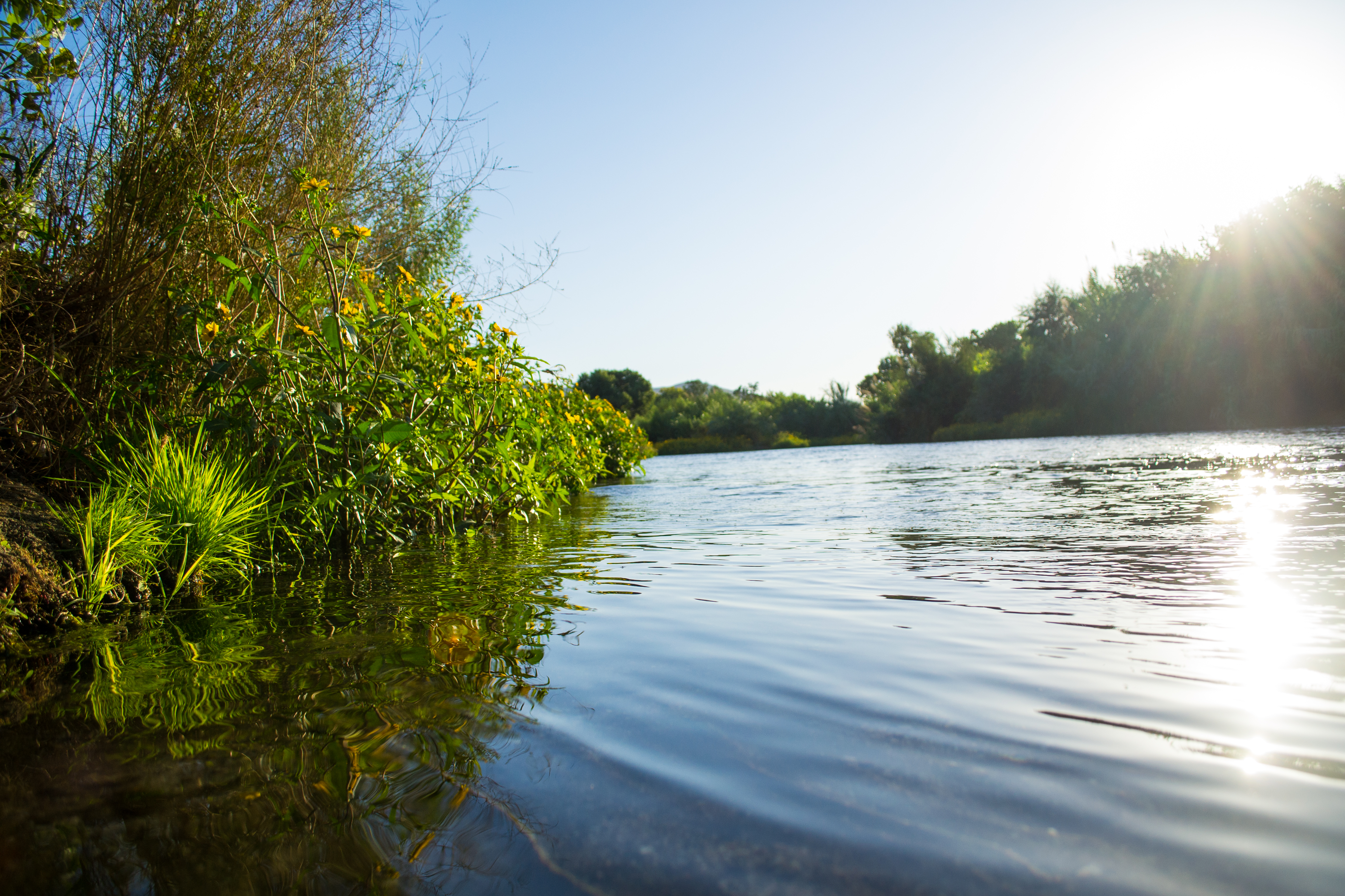 A portion of the Santa Ana River with water flowing through it.