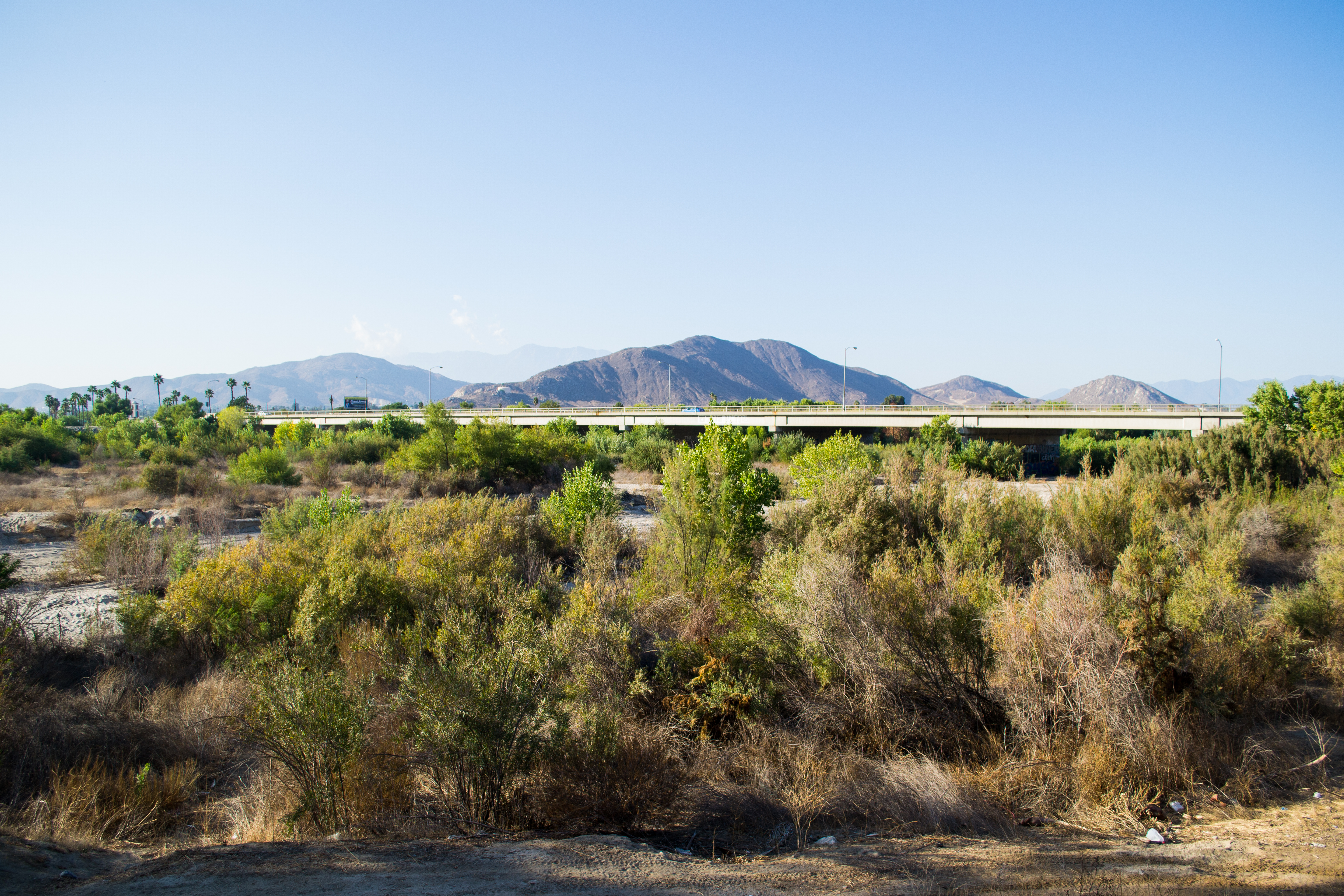 Undeveloped land in Riverside next to a busy freeway.